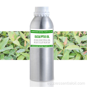 Suministro de fábrica Aceite esencial de eucalipto globulus 100% puro